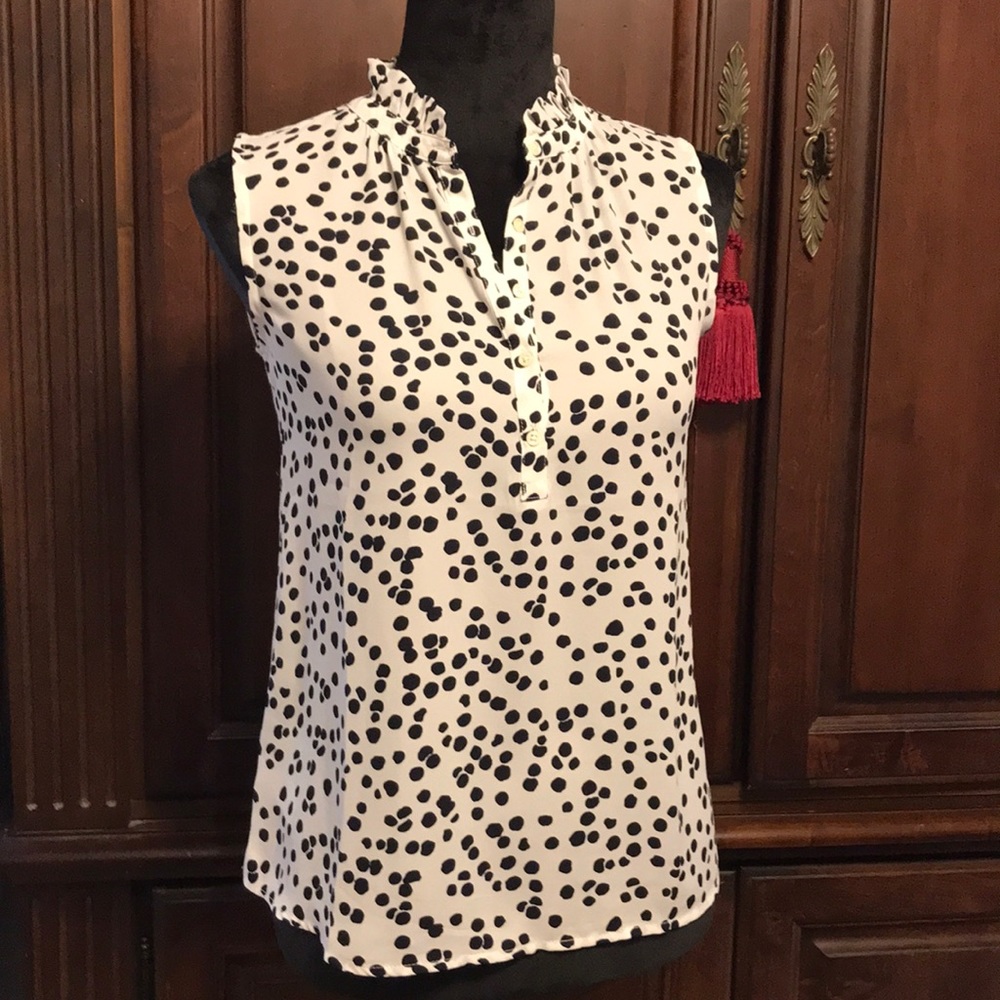 Loft blouse
